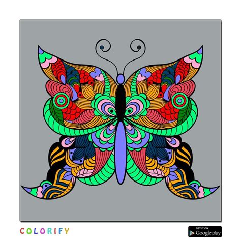 Butterfly colouring | Colorful butterflies, Color, Butterfly