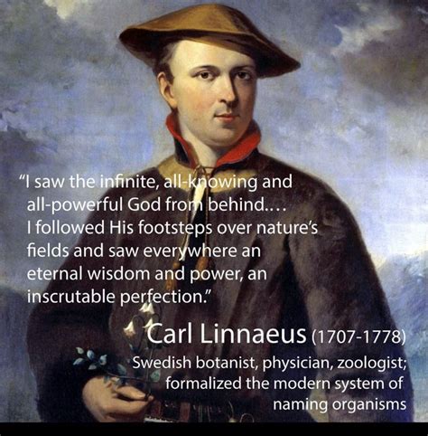 Carl Linnaeus | Carl linnaeus, Linnaeus, Physicists