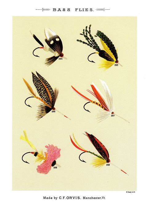 Set of 3 Vintage FLY FISHING Flies Prints Gallery Wall Art Fishing ...