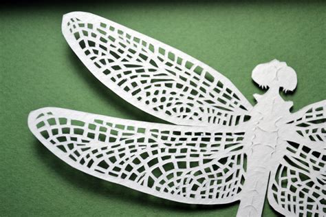 Heather Clements Art: Dragonfly Paper Cut