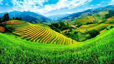 Vietnam Wallpapers Best Wallpapers