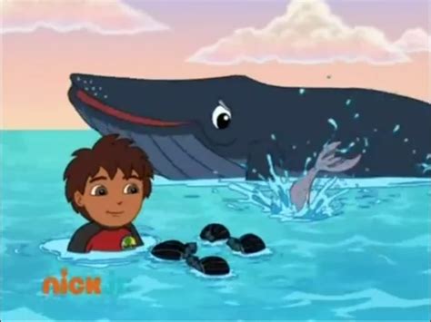 Ocean Animal Rescuer | Go, Diego, Go! Wiki | Fandom