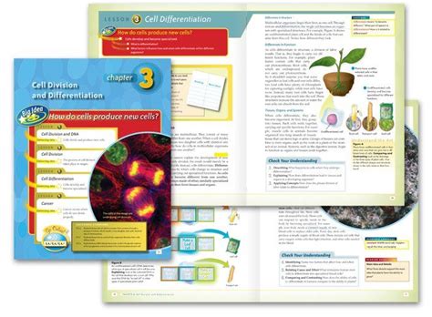 textbook page design examples | Workbook design, Graphic design ...