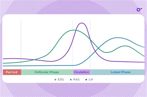 Anovulatory Cycles - Can I Still Get Pregnant? | Expert Guide