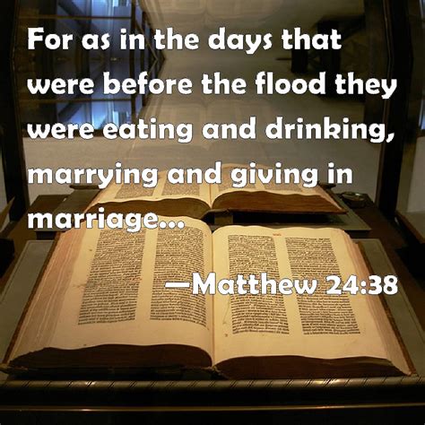 Matthew 24:38 For as in the days that were before the flood they were ...