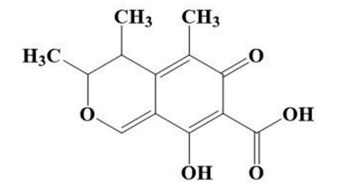 Citrinin Antibodies & Antigens - Creative Diagnostics