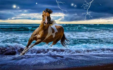 Beautiful Horses Wallpapers - Wallpaper Cave