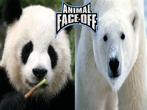 Visiting: User blog:The SuperNova/Animal Face-Off 1: Polar Bear vs Panda Bear in Z-Crushers ...