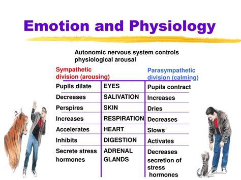 PPT - Motivation and Emotion PowerPoint Presentation, free download ...