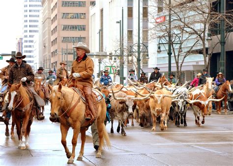 Mille Fiori Favoriti: The 110th Denver National Western Stock Show Parade!