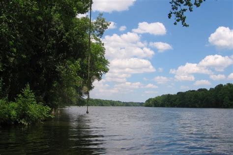 50 Verified Locations To Find Alabama Fossils In 2024