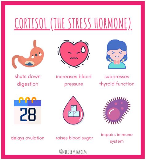 How Stress And Cortisol Can Affect Your Period - Nicole Jardim