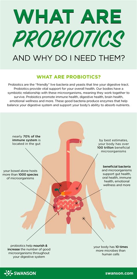 What are probiotics and how do they work? - 27F Chilean Way