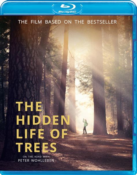 THE HIDDEN LIFE OF TREES; Jörg Adolph’s Immersive Documentary Comes To Blu-ray on November 2 ...