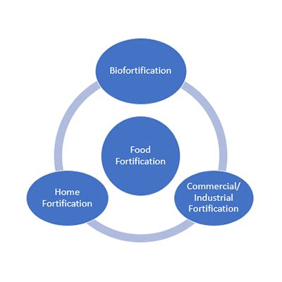 Food Fortification and Its Types - All You Need to Know