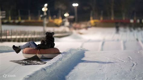 Wilmot Mountain Snow Tubing Experience and Brewery Trip from Chicago, United States of America ...