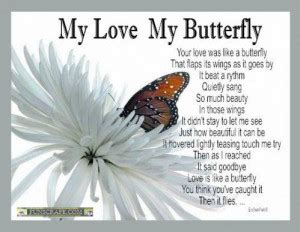 Butterfly Love Quotes And Sayings. QuotesGram