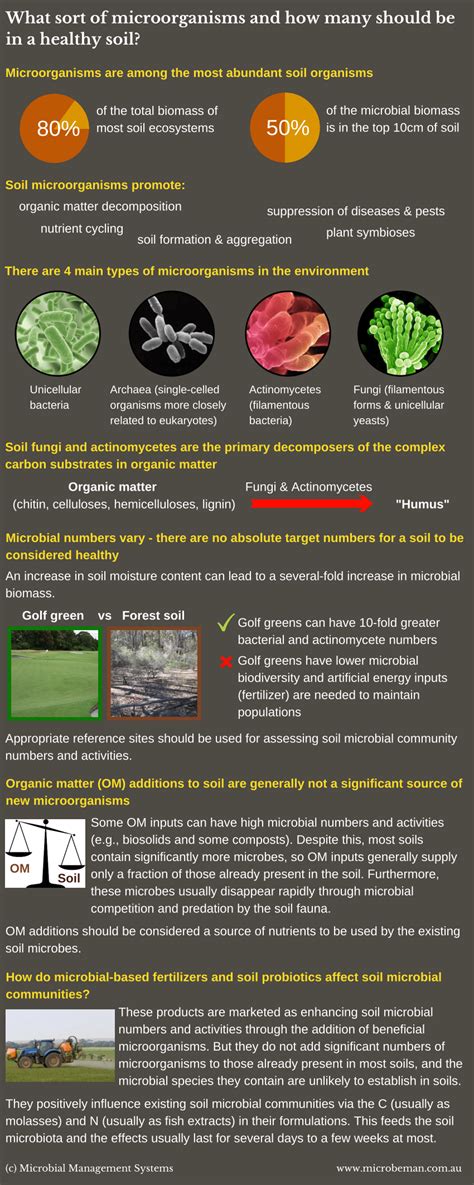 (PDF) Microorganisms in healthy soils