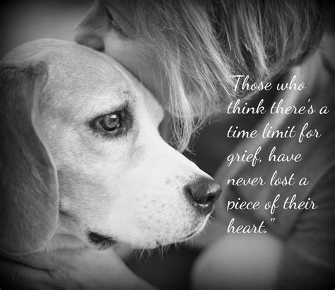 Pets Pet Loss And Grieving Ever Memorial Pet Loss Quotes 24312 in post at January 17, 2018 1:24 ...