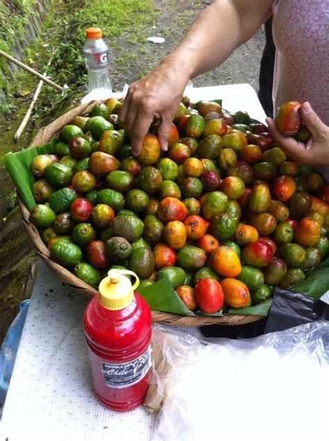 Jocotes / Santa Ana / El Salvador. | El Salvador lo que Comemos!!! | Pinterest | Salvador, The o ...