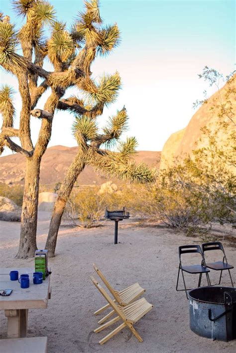 Joshua Tree Camping - What You Need to Know » Local Adventurer