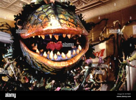 LITTLE SHOP OF HORRORS, 1986 Stock Photo - Alamy