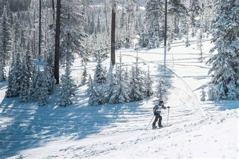 Kimberley Alpine Resort asks up trackers to stick to designated route ...