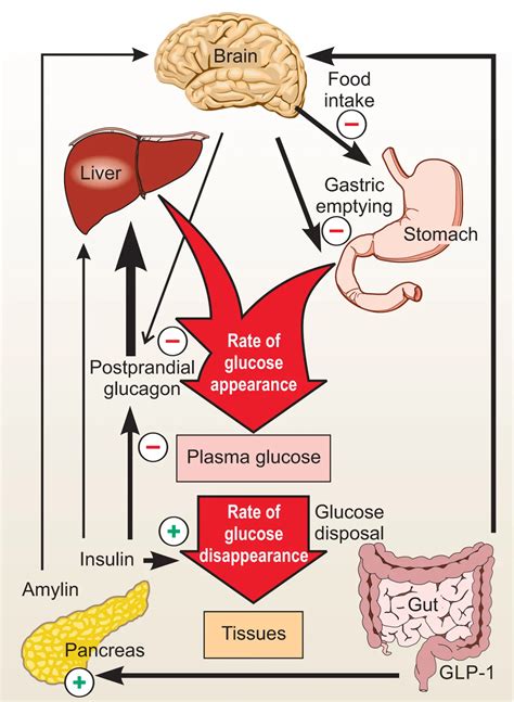 GLP-1 Analog Dosing Chart, 50% OFF