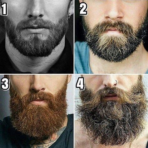 Evolução #barba # hommemstore | Tipos de barba para hombres, Estilos de ...