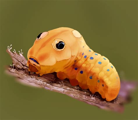 Spicebush swallowtail caterpillar