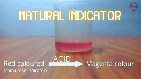 Natural Indicator | Easy experiment to do at home - YouTube