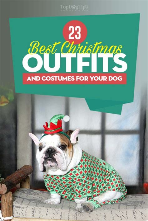 Top 23 Best Dog Christmas Outfits and Costumes to Dress Up Your Pup