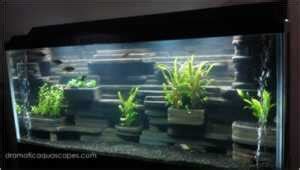 9 DIY Aquarium Backgrounds You Can Start Today - Learn How