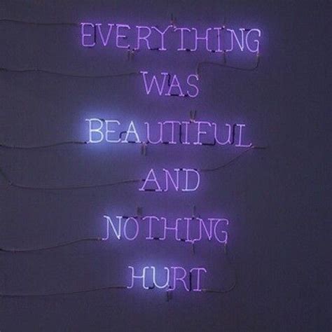 Everything Was Beautiful And Nothing Hurt Quote - ShortQuotes.cc