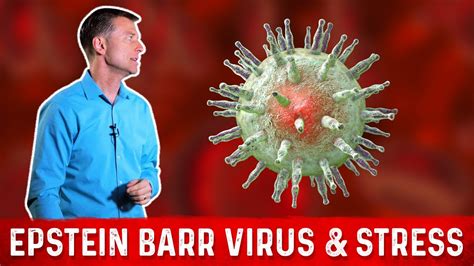 What is Epstein Barr Virus (EBV, It's Symptoms & Treatment Explained by Dr. Berg