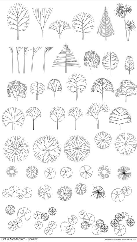 Free CAD Blocks – Trees 09 | Landscape architecture drawing, Landscape architecture graphics ...