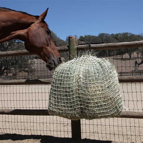 Freedom Feeder Day Slow Feed Hay Bag