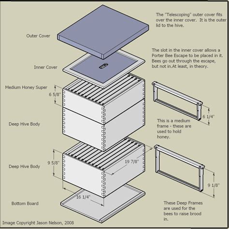 How to Make a Beehive — Info You Should Know