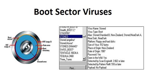 Common Types of Computer Virus Infections | InforamtionQ