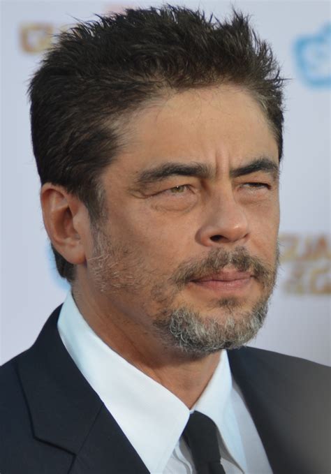 Benicio del Toro - Wikiwand