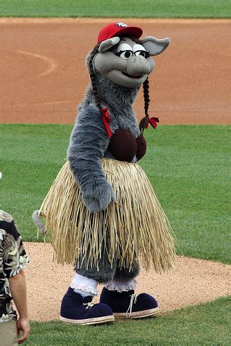 Lehigh Valley Iron Pigs Mascot "Fefe" | Lehigh Valley Iron P… | Flickr