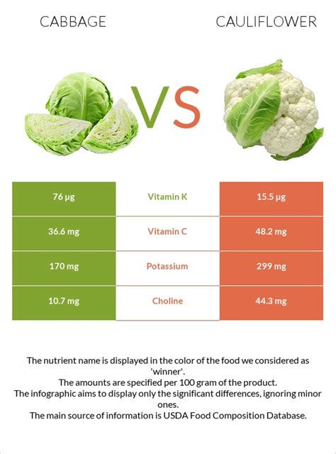 Cabbage vs Cauliflower - In-Depth Nutrition Comparison