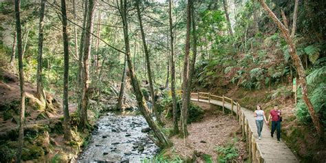 Todo lo que debes conocer en el Parque Arví - Viajar por Colombia