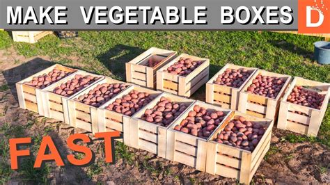 How to make Vegetable Boxes quickly - YouTube