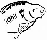 Carp Coloring Designlooter Pages Sketch Page sketch template