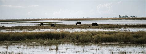 Botswana Weather & Climate | Botswana-Experience