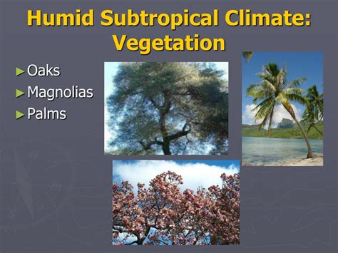 PPT - Climate Zones and Vegetation PowerPoint Presentation, free download - ID:5643308