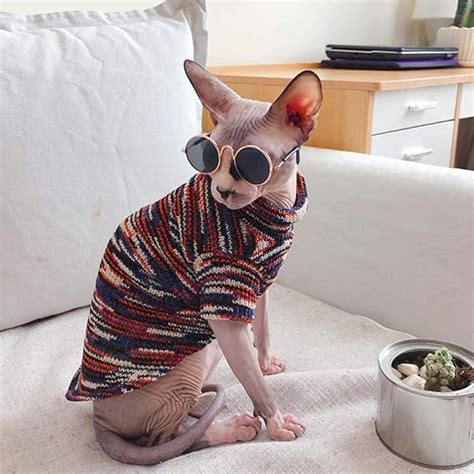 NELIT Sphynx Cat Clothes Cat Clothing Warm Cotton Thickened Sweater Hairless Cat Clothes-red_XXL ...