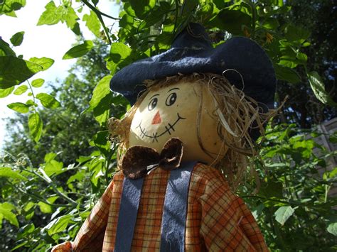 Scarecrow,garden,farm,nature,agriculture - free image from needpix.com