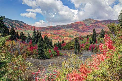 Fall At Snowbasin Utah Photograph by James Steele